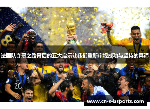 法国队夺冠之路背后的五大启示让我们重新审视成功与坚持的真谛