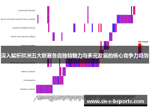 深入解析欧洲五大联赛各自独特魅力与多元发展的核心竞争力趋势