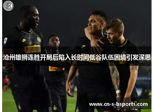沧州雄狮连胜开局后陷入长时间低谷队伍困境引发深思