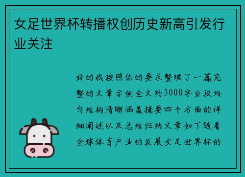 女足世界杯转播权创历史新高引发行业关注